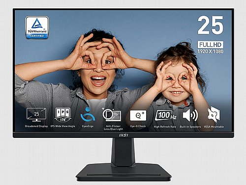 ��� ���� ���� 25" MSI PRO MP251