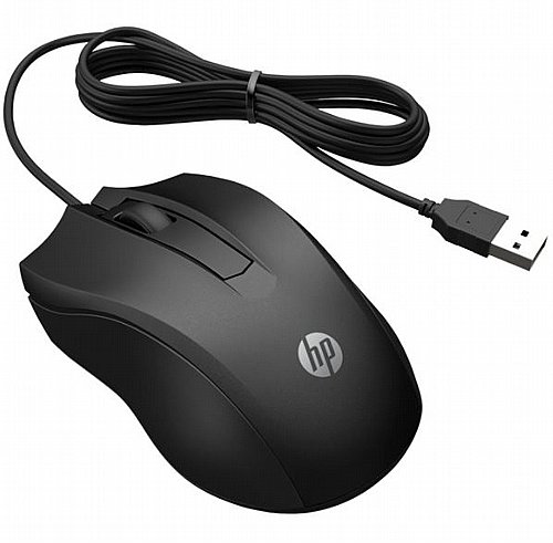 ���� ���� HP 100 ��� 6vy96aa