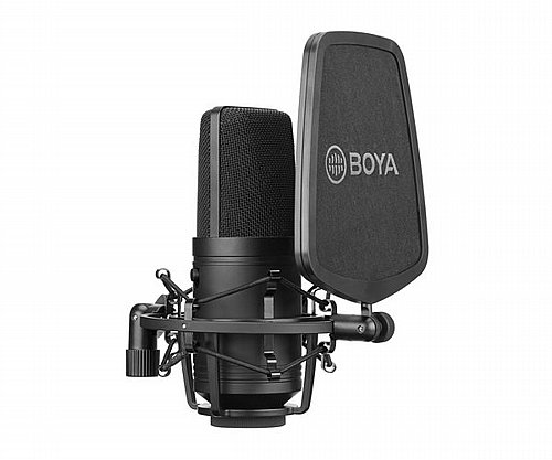 �������� ���� �������� ������ BOYA BY-M800 XLR