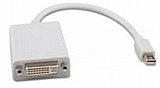 ���� ������ Mini Display Port ������ DVI ���� ����� 0.1 ����� 