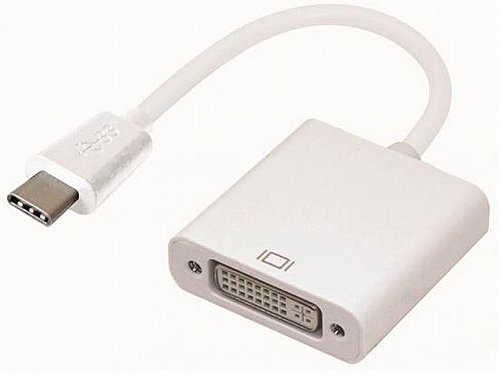 ���� ������ USB 3.1 Type-C ��� ������ DVI ���� ����� 0.2 �����