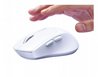 עכבר אלחוטי CUDY MS9945 2.4G BT White בצבע לבן