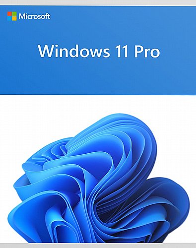 ����� ����� Windows 11 Professional Edition 64bit �����