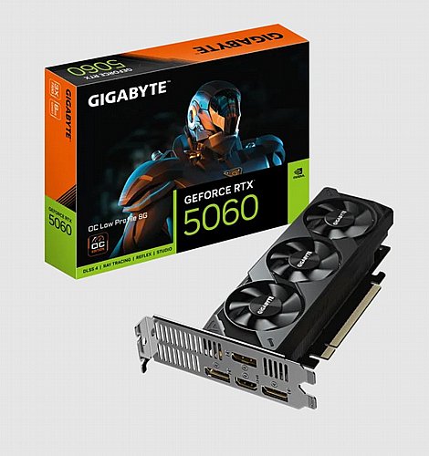 ����� ��� ���� Gigabyte ��� GeForce RTX5060 OC Low Profile 8G
