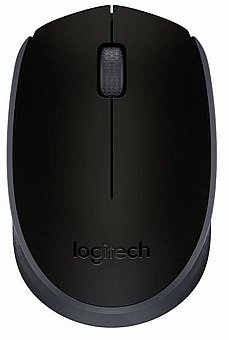 ���� ������ Logitech M171 Retail - ��� ����