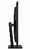 מסך מחשב מקצועי ASUS ProArt Display PA328QV QHD IPS LED 31.5'' FreeSync