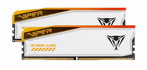 ������ ����� ���� Patriot Viper Elite RGB DDR5 6,600MHz 2x24GB PVER548G66C34KT - ��� ���