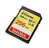 ����� ����� SanDisk Extreme Secure-Digital SDXC SDSDXV5-256G - ��� 256GB