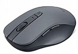 ���� ������ Lenovo WL310 Bluetooth Silent GY51Q65621 - ��� ����